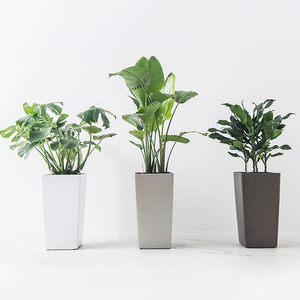 <span class=keywords><strong>Pot</strong></span> de fleurs <span class=keywords><strong>en</strong></span> plastique noir mat texturé de 22,4 pouces de hauteur, grand format, pour jardin extérieur, intérieur, patio, <span class=keywords><strong>porte</strong></span> <span class=keywords><strong>d</strong></span>'<span class=keywords><strong>entrée</strong></span> - Product Image 2