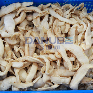 เครื่องอบแห้งหัวไชเท้าแบบสายพานตาข่ายประสิทธิภาพสูง พร้อมอุปกรณ์ทำความสะอาด ตัด และอบแห้งหัวไชเท้า - Product Image 4