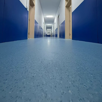 Revêtement de sol en caoutchouc écologique Dingye 4 mm à texture martelée, antidérapant, antistatique, super ignifuge, pour salle de sport, salle de danse, école, hôpital