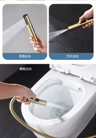 Couche-culotte en tissu Shattaf accessoire de toilette salle de bain dissimulé en laiton mural chaud et froid mixte Bidet Spray Set