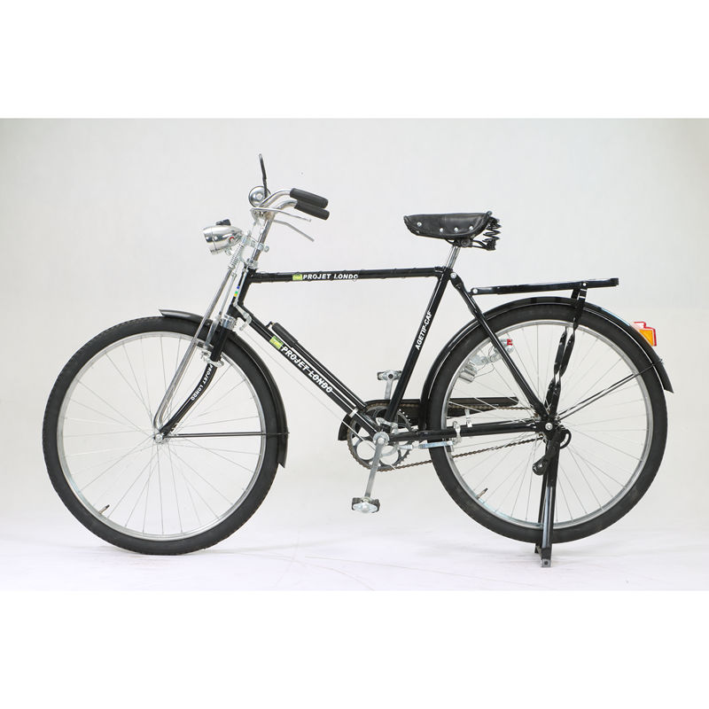 Fortified Bicycle Price High-Quality Electric Bikes for Sale