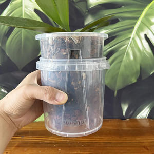 <span class=keywords><strong>Maceta</strong></span> para Orquídeas Phalaenopsis con Sistema de <span class=keywords><strong>Autorriego</strong></span>, Diseño de Almacenamiento de Agua, Fácil Cuidado - Product Image 3