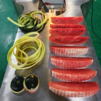 DQ Guangzhou Daqiao Industriële Geïntegreerde Watermeloen Schil- en Snijmachine Set Automatisering Fruitverwerkingsapparatuur