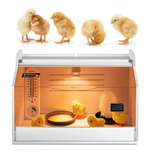 Aromanano gà kỹ thuật số máy gia cầm Gà con squab Nestling ăn hộp brooder để bán lồng ấp trứng - Product Image 1