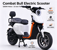 Sıcak satışta Fabrika Üretimi Şehir İçi Sürüş U2 Şehir Elektrikli Bisikleti 60V 72V 1200W 1500W 2000W Banliyö Bisikleti Hafif İki Tekerlekli E-Bisiklet