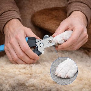 Vente en gros de coupe-ongles pour animaux de compagnie en acier inoxydable, accessoires de toilettage pour animaux de compagnie en plastique, ciseaux à ongles pour animaux de compagnie en acier inoxydable - Product Image 6