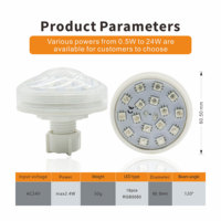 Aglare E14 60mm lampe Led de divertissement, lampe de parc de divertissement E14 Ac24v lampe de féerique