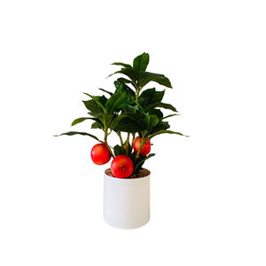 <span class=keywords><strong>ต้น</strong></span>ไม้ผลไม้จิ๋วแบบข้ามพรมแดน <span class=keywords><strong>ต้น</strong></span>ไม้ผลไม้ในกระถางโฟม <span class=keywords><strong>ต้น</strong></span>ไม้ผลไม้สามหัว ตกแต่งบ้านในร่ม <span class=keywords><strong>ต้น</strong></span>ไม้สำหรับตกแต่งหน้าต่าง - Product Image 5