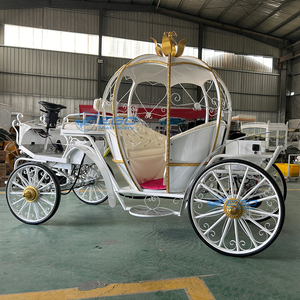 Horse Carriages Vintage Sightseeing Tourist Horse Drawn European Horse Carts Wagon Carriage for Sightseeing - Product Image 3