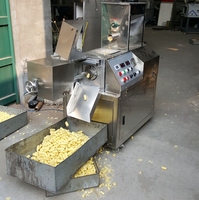 Machine extrudeuse alimentaire multifonctionnelle pour la fabrication de chips, de snacks et de snacks au maïs