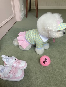 Honden Trui Jas Kat Kleding Gebreide Huisdier Truien Kitten Puppy Levert Groothandel Honkbal Uniformen En Hoed - Product Image 6