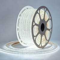 Tira de Luces LED AC 220V/110V SMD 2835 120leds/m 240leds/m, Impermeable IP67, para Iluminación de Obras de Construcción