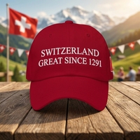Casquette de baseball rouge à 6 panneaux et visière incurvée, broderie personnalisée, vente en gros d'usine, pour l'activité en Suisse