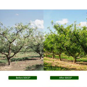 Poliacrilato de Potasio Compra Directa, Expansible <span class=keywords><strong>en</strong></span> el Lugar de la Producción, para Caña de Azúcar, Trigo, <span class=keywords><strong>Avena</strong></span>, Informe de Prueba de Metales Pesados para Jugo - Product Image 2