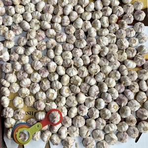 Vente en gros d'<span class=keywords><strong>ail</strong></span> frais de Chine, nouvelle récolte, exportation au Burkina Faso, 5,0 cm - Product Image 2