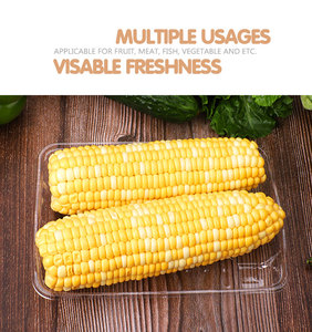 Tùy Chỉnh Mía Bagasses Sushi Khay/Phân Hủy Sinh Học Compostable Dùng Một Lần Sushi Hộp Trái Cây Thịt Rau Bao Bì Khay - Product Image 6