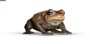 Tùy chỉnh Lễ Hội tổ chức sự kiện quảng cáo Inflatable động vật Inflatable ếch bơm hơi lớn cóc - Product Image 5