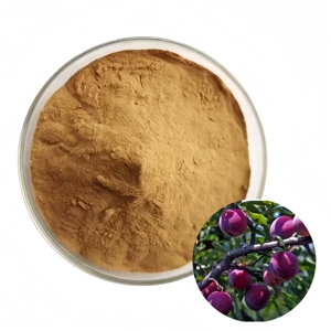 จำหน่ายผงสารสกัดจากพลัมคุณภาพสูง <span class=keywords><strong>Prunus</strong></span> Domestica - Product Image 5
