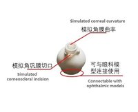 Simulateur de Capsulorhexis pour Cataracte Ophthalmique, Rotateur de Noyau Simulé pour la Chirurgie Oculaire Professionnelle, Entraînement CE/ISO