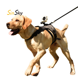 SinSky, recién llegado, accesorios para mascotas, respetuoso con el medio ambiente, correa para cámara deportiva para perros, estabilizador de cámara Go <span class=keywords><strong>Pro</strong></span>, arnés para perros - Product Image 1