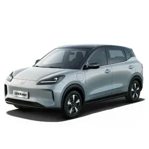 Nuevo diseño Urban Suv Venta caliente Coche eléctrico 2024 EV Motor Car Wuling Binguo