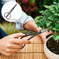 Kit de démarrage d'outils pour Bonsaï, ensemble d'outils de taille, outils de jardinage pour Bonsaï et plantes succulentes, cisailles de jardinage, kit de démarrage