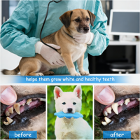 Jouet à mâcher de luxe en TPR pour chien, nettoyeur de dents pour chiot, bâton molaire, brosse à dents pour animaux de compagnie, style dessin animé, vente en gros usine
