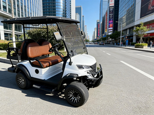 Voiturette de golf électrique 4 places - Compacte, promotionnelle, vente en gros pour routes non publiques - Product Image 1