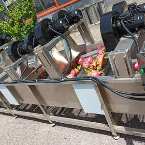 野菜洗浄機フルーツ洗浄機フルーツバブル洗浄機工業用自動気泡フルーツ洗浄機 - Product Image 2