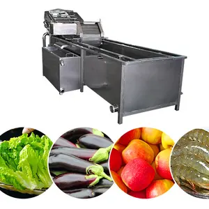 food grade stainless steel fresh fruit washer /fresh root vegetables cleaning machine