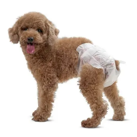 Isposable-pañal personalizado para mascota, suave menstrual para perro, color negro XL