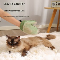 Gant de massage double face pour enlever les poils d'animaux, pour chats et chiens, outil de toilettage réutilisable