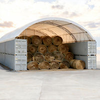 Abri pour conteneurs 20ft 40ft à double treillis en acier galvanisé avec toit en PVC pour entrepôt, stockage et atelier