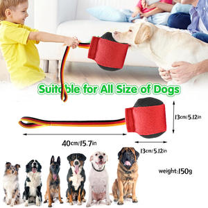 Balle interactive résistante aux morsures pour chiens de petite et moyenne taille Fournitures de formation pour animaux de compagnie pour l'exercice molaire - Product Image 2