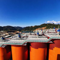 Usine complète de flottation et de valorisation de minerai d'or 30tph, roulement de moteur haute rigidité, marque XKJ, pour l'extraction d'or dans roche dure