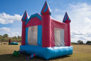 Castillo Inflable <span class=keywords><strong>de</strong></span> PVC Rosa <span class=keywords><strong>de</strong></span> Nuevo Diseño, Casa <span class=keywords><strong>de</strong></span> Brinco Inflable <span class=keywords><strong>para</strong></span> Exteriores, Combo <span class=keywords><strong>de</strong></span> Brinco <span class=keywords><strong>para</strong></span> <span class=keywords><strong>Fiestas</strong></span> Infantiles - Product Image 2