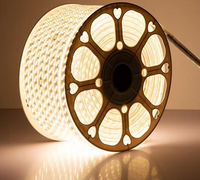 Bande lumineuse LED SMD5730 haute luminosité, étanche, 50 mètres, 100 mètres, 110V, 120V, 220V, flexible et intelligente