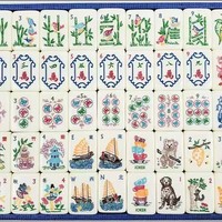 Tuiles de Mahjong Modernes de Luxe en Acrylique Nacre Naturelle, Ensemble Standard Complet, Design Transparent, 1 Paire MOQ, Blind