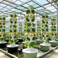 Système de culture hydroponique aéroponique vertical à 11 niveaux pour l'intérieur avec irrigation automatique pour la culture de légumes