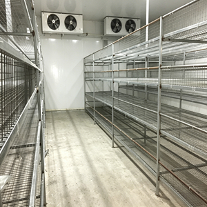 Agriculture Greenhouse Aeroponics System Large PE Leaf Vegetable Container Farm Hydroponics Indoor Vertical Farming Growing Pump - Product Image 1