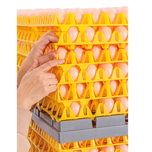 صواني بيض دجاج بلاستيكية جديدة 100% تتسع لـ 30 بيضة - Product Image 4