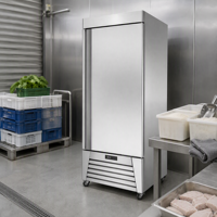 Machine de congélation rapide à haute efficacité pour la conservation des fruits de mer, idéale pour les restaurants, les hôtels, la restauration et les applications commerciales.