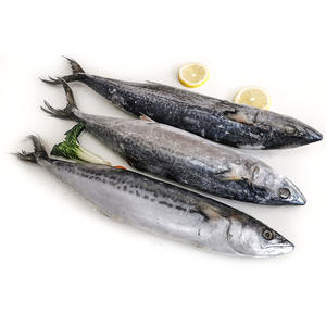 Exportador de Pescado Atún del Pacífico Fresco y Congelado Orgánico de China, Fabricante de Pescado Atún Congelado - Product Image 1