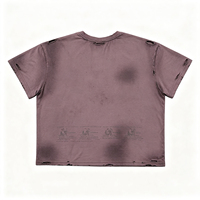 T-shirt Rose Poussiéreuse Vintage Délavé à l'Acide avec Imprimé Portrait de Groupe Estival, T-shirt Streetwear Effet Usé et Trous Déchirés, Teint Soleil