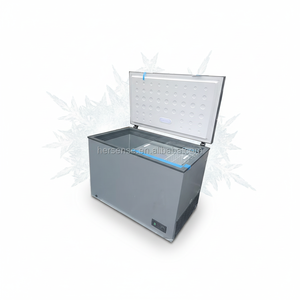 Congelador Horizontal Gris BE1-316 de 308 Litros para el Mercado Africano y Europeo, para Hogar, Garaje y Almacenamiento Comercial, GMCC 220V-240V, Manos Libres, L - Product Image 2