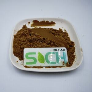 Ekstrak Daun Teh Hitam Tanpa Kafein Kelas Makanan, Harga Grosir Pasokan Pabrik, 50% Polifenol - Product Image 4