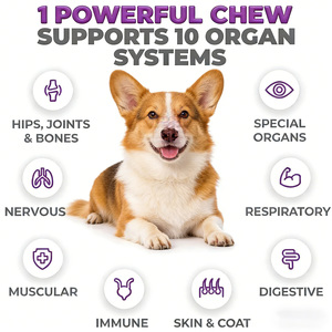 OEM/ODM 10 en 1 MAX Complément multivitaminé à mâcher pour chien avec glucosamine, MSM et probiotiques, supplément multivitaminé quotidien à mâcher pour animaux de compagnie - Product Image 3