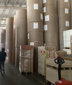 Papier <span class=keywords><strong>en</strong></span> rouleau blanc <span class=keywords><strong>en</strong></span> <span class=keywords><strong>carton</strong></span> simple ou double couché PE, matière première pour la fabrication <span class=keywords><strong>de</strong></span> gobelets, vente chaude, directement du fabricant chinois - Product Image 5
