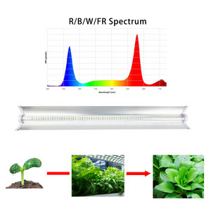Tube LED T8 à Spectre Complet pour la Croissance des Plantes, 0,6 m, <span class=keywords><strong>Lampe</strong></span> Supplémentaire à Haute Efficacité Lumineuse pour <span class=keywords><strong>Semis</strong></span>, <span class=keywords><strong>Culture</strong></span> Tissulaire et Légumes Feuillus - Product Image 4