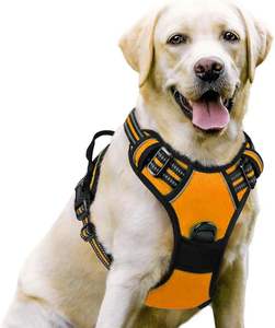 Harnais pour animaux de compagnie en nylon sans traction-Laisse auxiliaire de voyage réglable pour l'extérieur, gilet respirant avec laisse pour petits animaux de compagnie moyens, taille M - Product Image 2